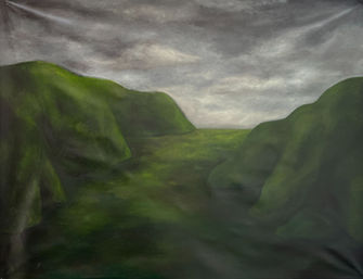 WHERE DID I LAND - Peinture huile sur toile - 100*80cm - 2025