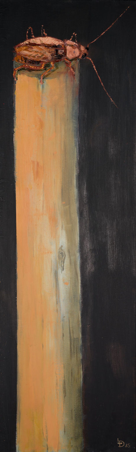 Franz - Peinture acrylique et huile, sur toile - 30*100 cm - 2025