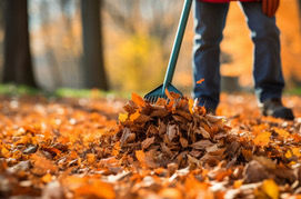 Homme ramassant des feuilles mortes en automne dans un jardin à Aix-en-Provence par Lemaire environnement 
