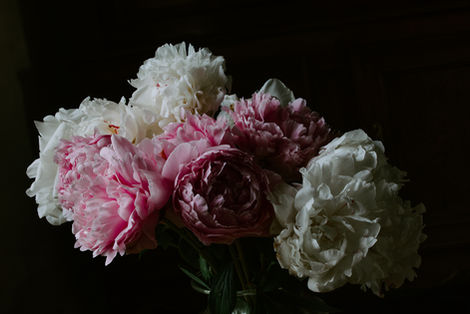 Détail de pivoines 2 - Tirage papier, contrecollage sous plexi - 90*60cm -2024