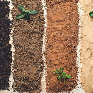 Lemaire environnement - dépollution des sols.jpg