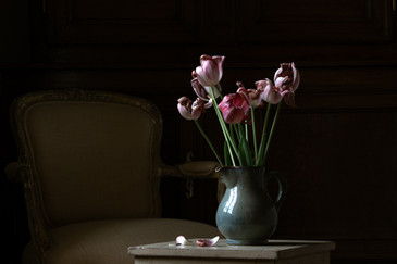 Tulipes à la fenêtre - Tirage papier, contrecollage sous plexi - 90*60cm -2021