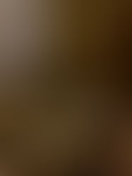 The History Of Parfum