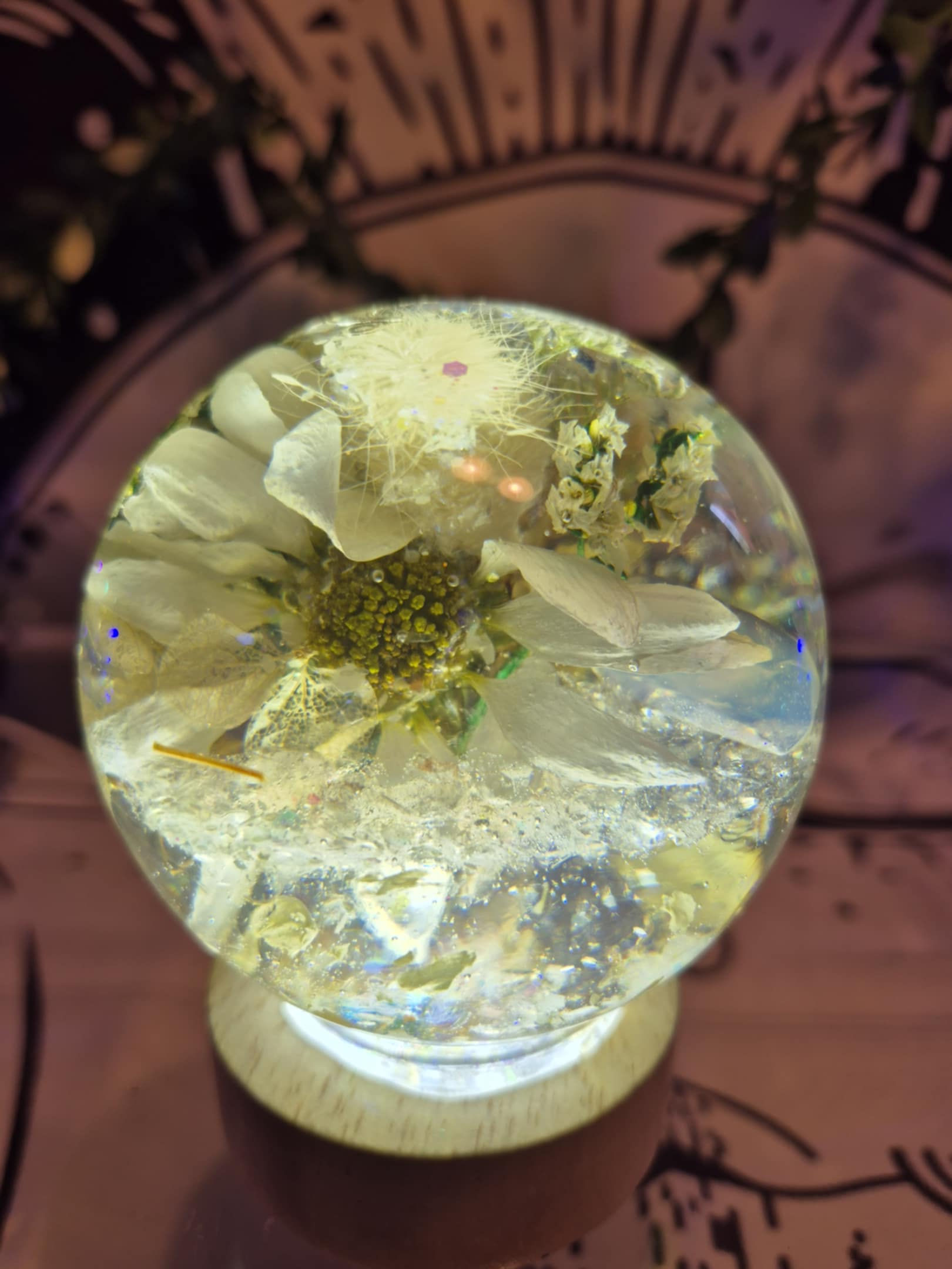 Faithfulness and Purity L-Size