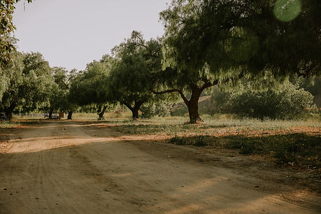 1K2A4415.jpg
