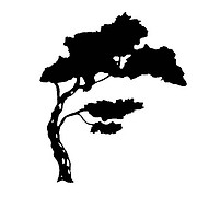 Matia Contractors Inc logo
