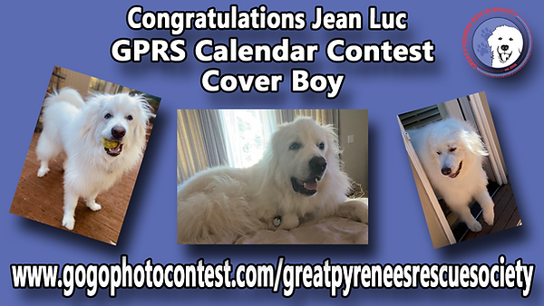 Jean Luc Cover Boy.png