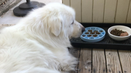 293250197_1687539618298944_8145131003965