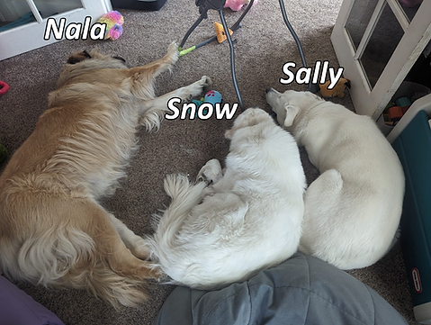Sally Snow Nala 2.png