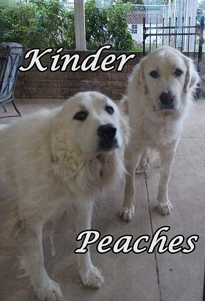 Peaches and Kinder 5.png