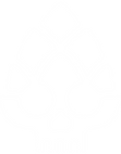 BSE_Icon_White.png