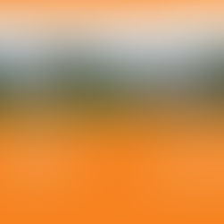 Hausbesichtigung in Zemmer