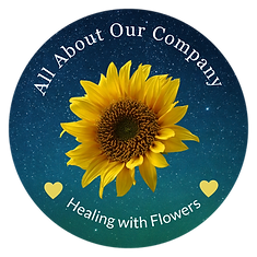 All About Our Company