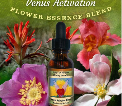 Venus Retrograde: A Time to Reconsider What We Love