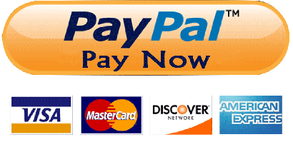 PayPal-Paynow.gif