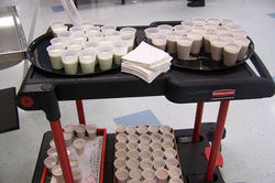 St. Patrick's Day Smoothie Taste Test14 - Copy