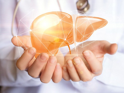 Generative Design v. Evolution for Replacement Human Organs