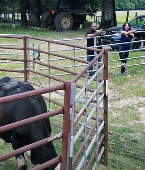 Screenshot 2023-08-19 133245 (1)_edited.jpg