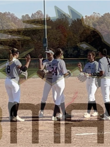 16U T3 Mvas- Circle Pic.png