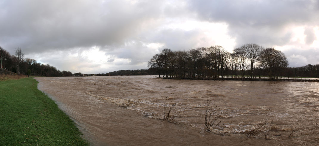 Flood