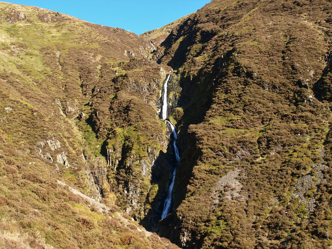 Moffat Hills / Carrifran WildWood