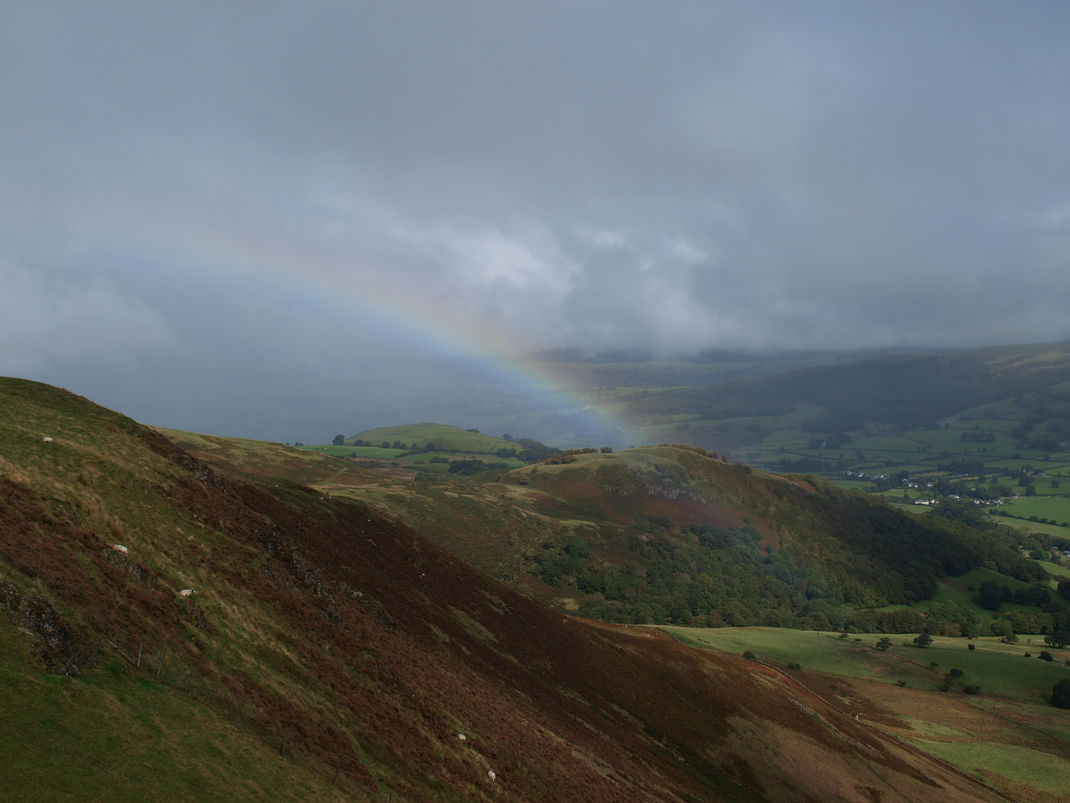 Low Fell