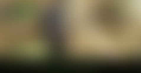 It's a Slippery Slope: Finding the Balance Between Trained and Natural Behavior