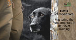 Mastering the Fundamentals in Retriever Training: The Power of Go and Stop