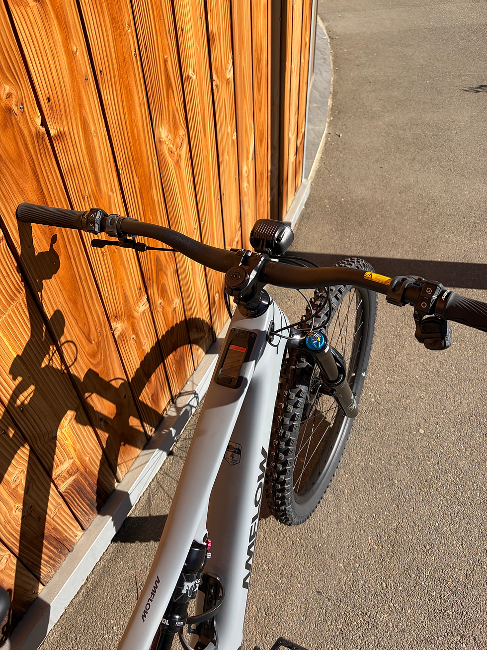 Miniature : VTT électrique AMFLOW PR CARBON PRO