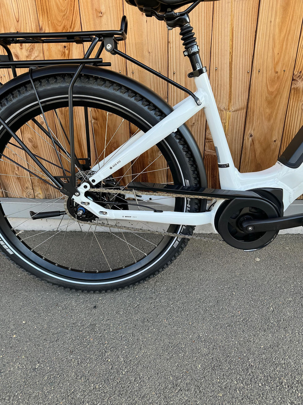 Miniature : VTC ELECTRIQUE VELO DE VILLE aeb 890 nexus 5