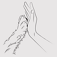 Teamwork | Soulmeeting