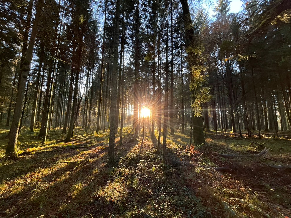 TIERISCH ECHTE BEGEGNUNGEN