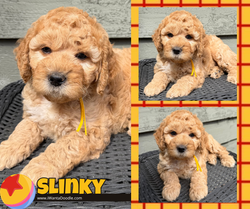 Brown Creative Glamour Fashion Facebook Post (Facebook Post)