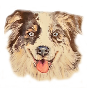 20191209_170913_002 (1).png
