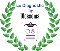 logo diagnostic.png