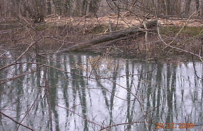 DSCN2761.JPG