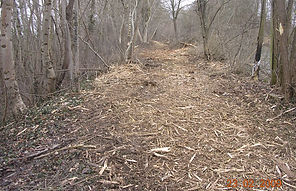 DSCN2748.JPG
