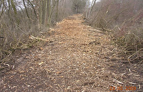 DSCN2736.JPG
