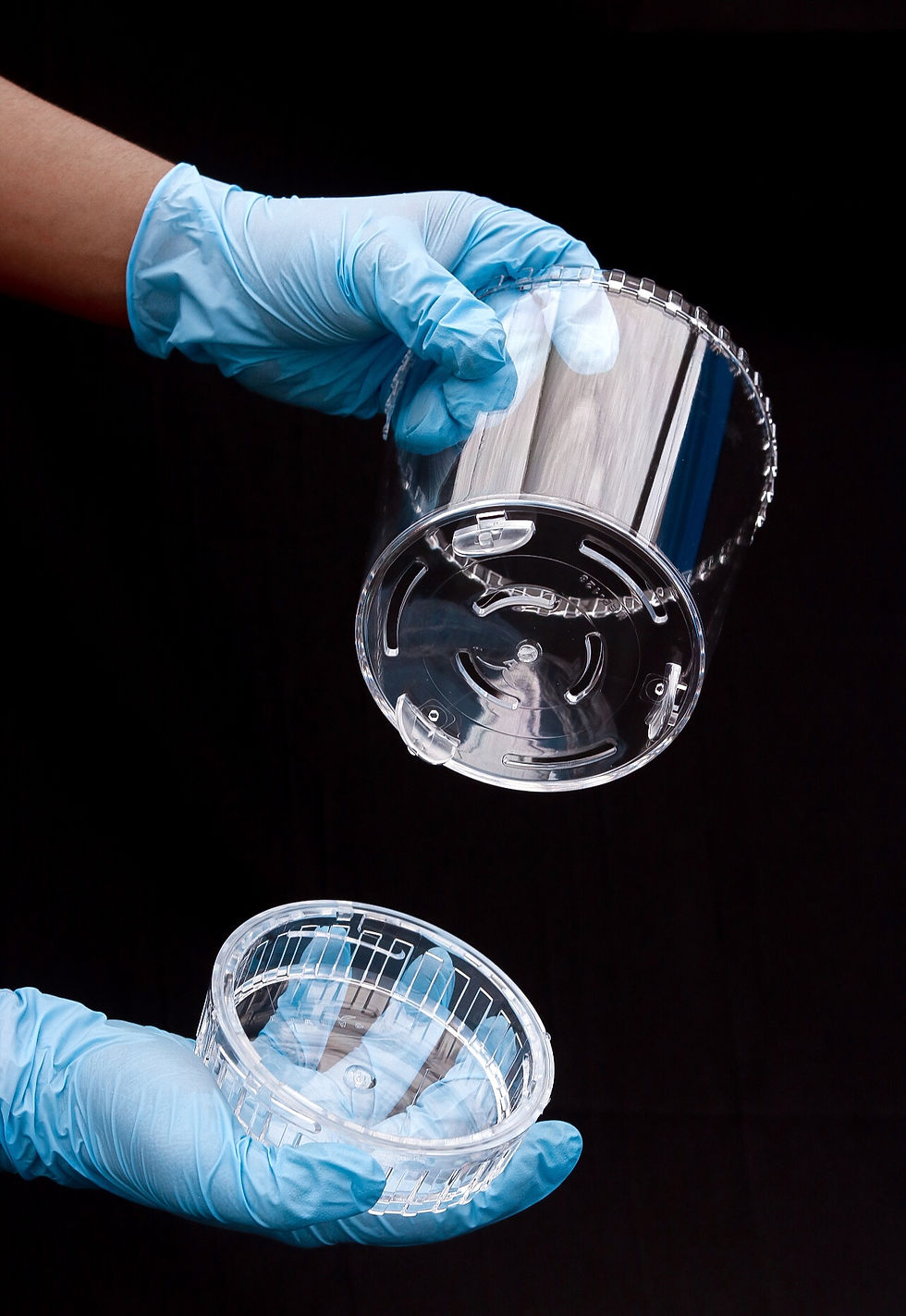 Miniatura: Maceta Masgabana (Transparente)