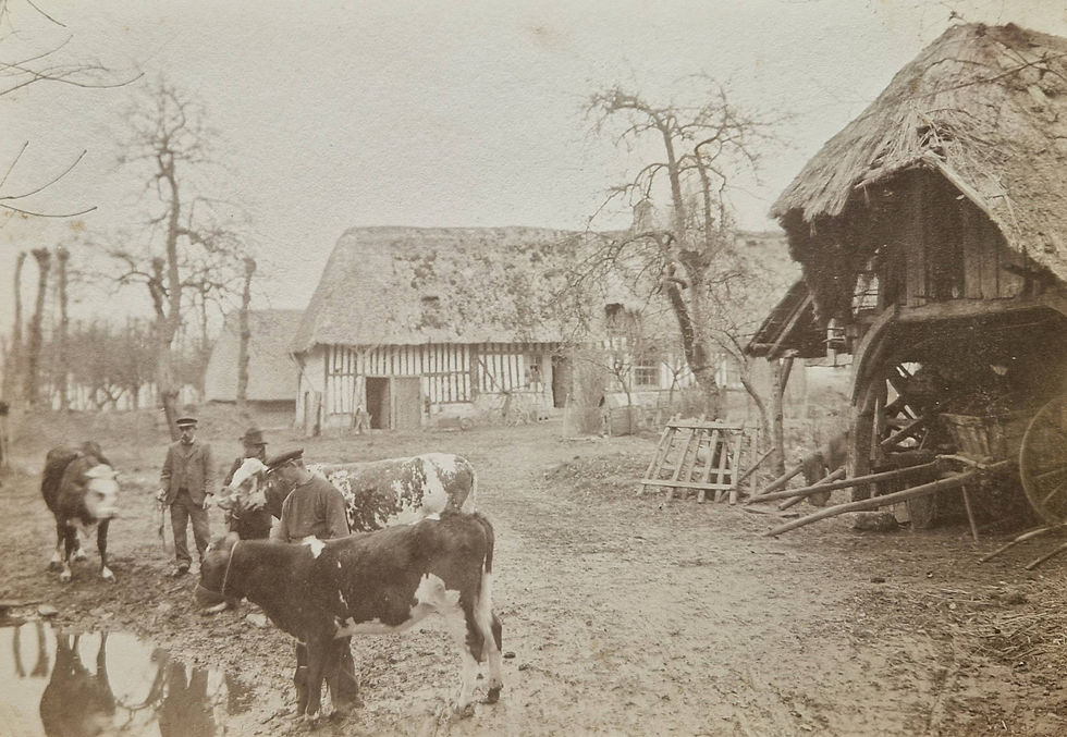 Miniature : Le Havre - Album Photographique