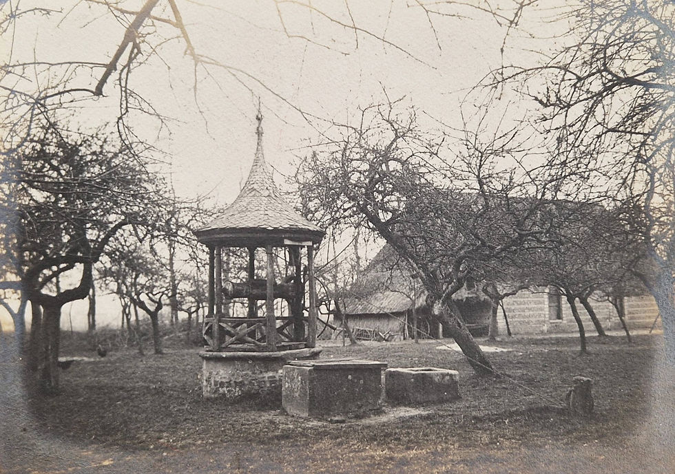 Miniature : Le Havre - Album Photographique