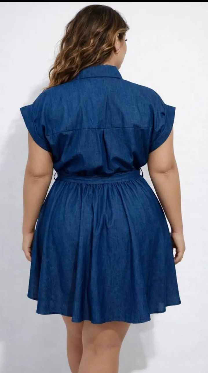 Thumbnail: Serena Denim Dress