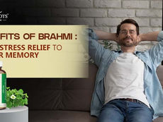 Benefits of Brahmi: From Stress Relief to Better Memory