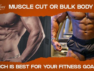 Muscle Cut or Bulk Body—Which is Best for Your Fitness Requirements?