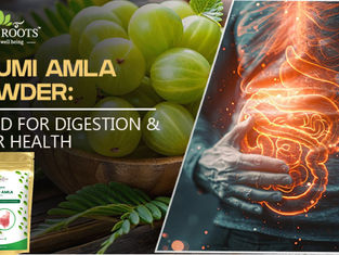 Bhumi Amla Powder: Good for Digestion & Liver Health