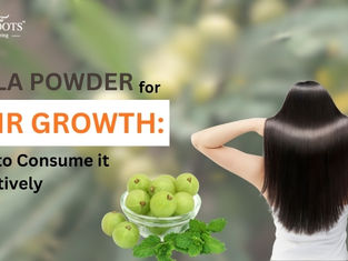 Amla Powder for Hair Growth: How to Consume It Effectively