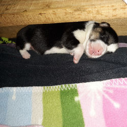 20200121_120514_resized_3