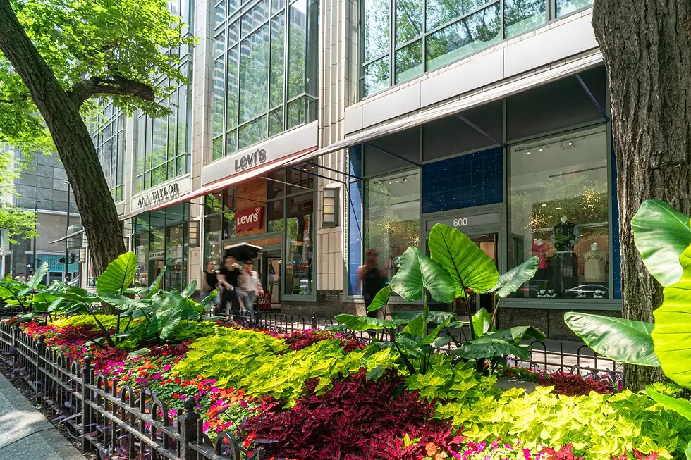 142 E. Ontario Surroundings WebRes-3.webp