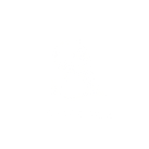 logo SA_edited.png
