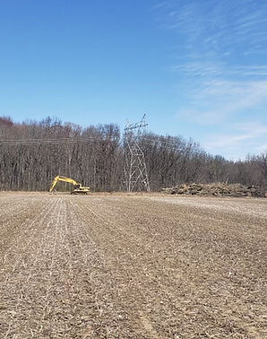 Land Clearing